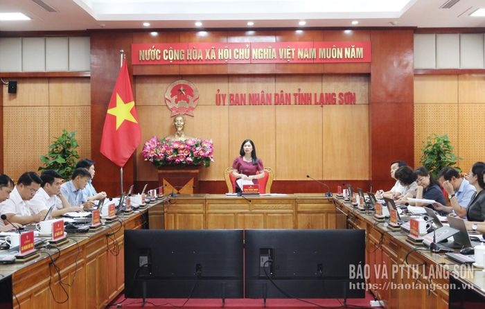 Đồng chí Trần Thanh Nhàn, Phó Chủ tịch UBND tỉnh phát biểu kết luận cuộc họp