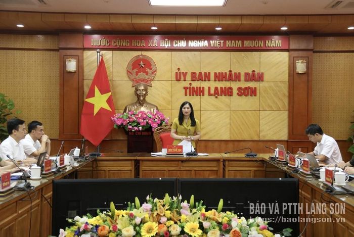 Đồng chí Trần Thanh Nhàn, Phó Chủ tịch UBND tỉnh phát biểu kết luận cuộc họp