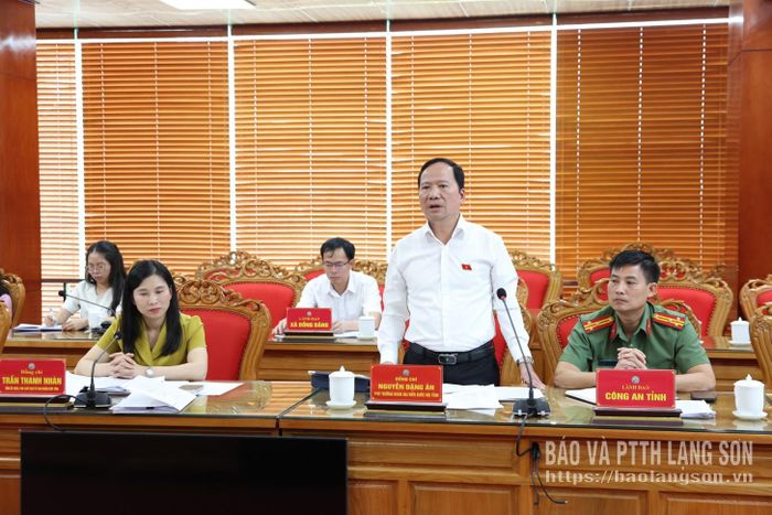 Đồng chí Nguyễn Đặng Ân, Phó Trưởng đoàn chuyên trách Đoàn ĐBQH tỉnh phát biểu tại buổi làm việc