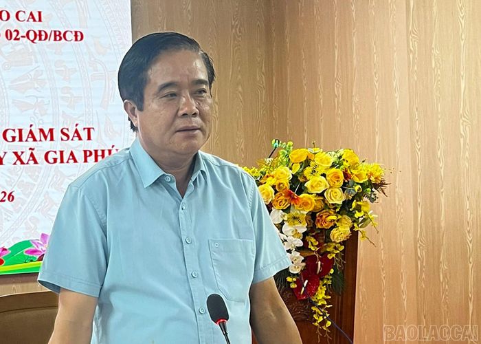 Đồng chí Phan Đăng Toàn - Ủy viên Ban Thường vụ Tỉnh ủy, Trưởng Ban Nội chính Tỉnh ủy, Phó Trưởng Ban Thường trực Ban Chỉ đạo Phòng, chống tham nhũng, lãng phí, tiêu cực tỉnh phát biểu kết luận buổi làm việc.
