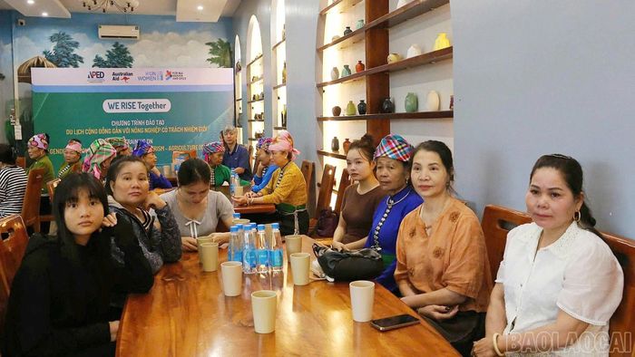 Đại biểu dự lớp tập huấn.