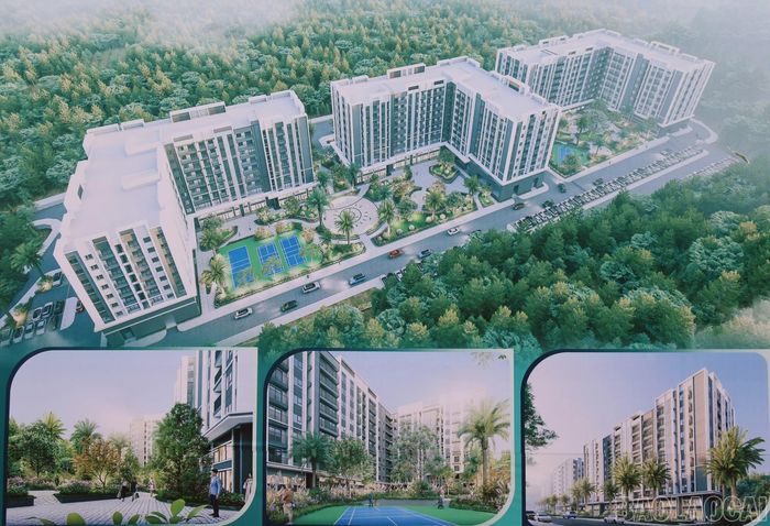 Phối cảnh dự án Dự án Nhà ở xã hội Khu Lâm Viên quy mô gần 600 căn hộ tại tổ 8 Nam Cường, phường Cam Đường, tỉnh Lào Cai. (Ảnh: Viết Vinh)