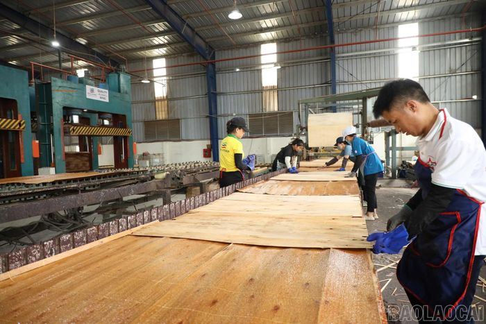 Công nhân địa phương làm việc tại dây chuyền sản xuất của Công ty TNHH Benchmark Industries.