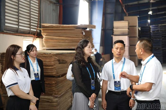 Đại diện các doanh nghiệp Trung Quốc trao đổi về tiềm năng hạ tầng, lợi thế cửa ngõ giao thương và môi trường đầu tư tại Khu công nghiệp phía Nam.