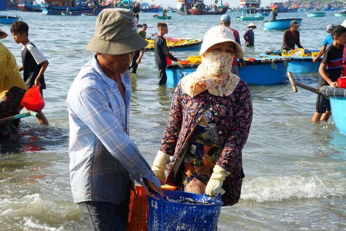 Nhân công làm việc từ sáng đến trưa