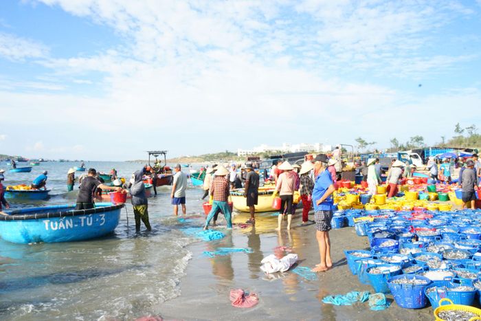 Rộn ràng trên bến cá ở Bãi Sau Mũi Né
