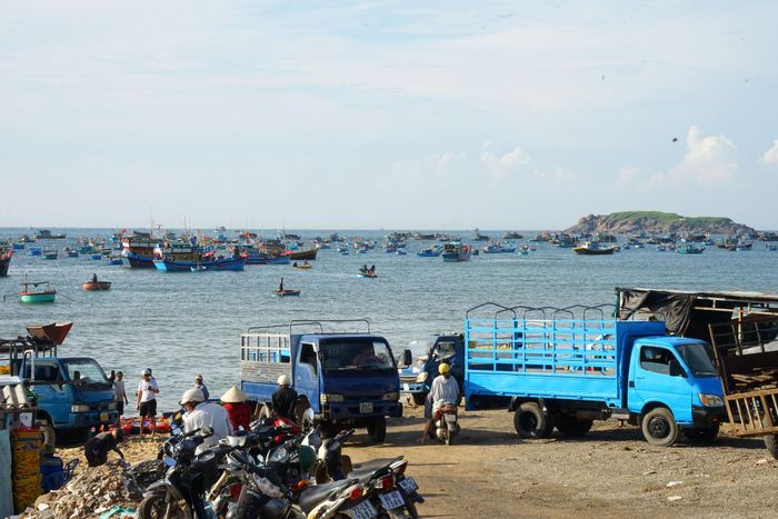 Buổi sáng ở làng chài ở Bãi Sau Mũi Né