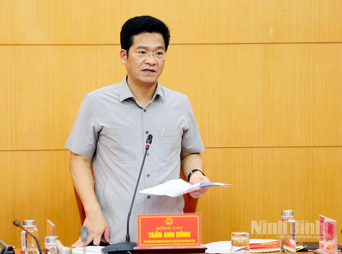 Đồng chí Phó Chủ tịch UBND tỉnh Trần Anh Dũng phát biểu kết luận hội nghị.