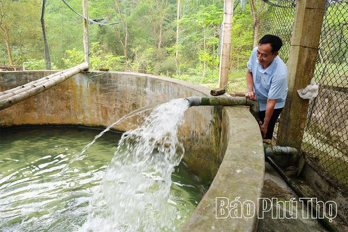 Sau nhiều năm vận hành thử nghiệm, cá tầm phát triển tốt nhờ điều kiện tự nhiên thuận lợi. Gia đình ông Chi quyết định đầu tư trang trại với số lượng lớn, đồng thời, chú trọng hệ thống cấp nước luôn sạch, giàu ôxy và duy trì nhiệt độ ổn định từ 18-22 độ C.