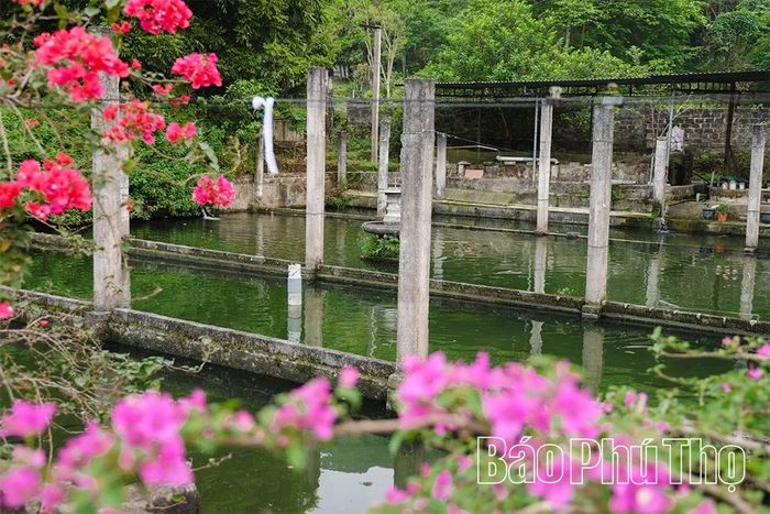 Mô hình nuôi cá tầm gia đình ông Chi trở thành mô hình đầu tiên trên địa bàn xã bước đầu đã chứng minh hiệu quả rõ nét cả về kinh tế và khả năng khai thác lợi thế tự nhiên của địa phương.