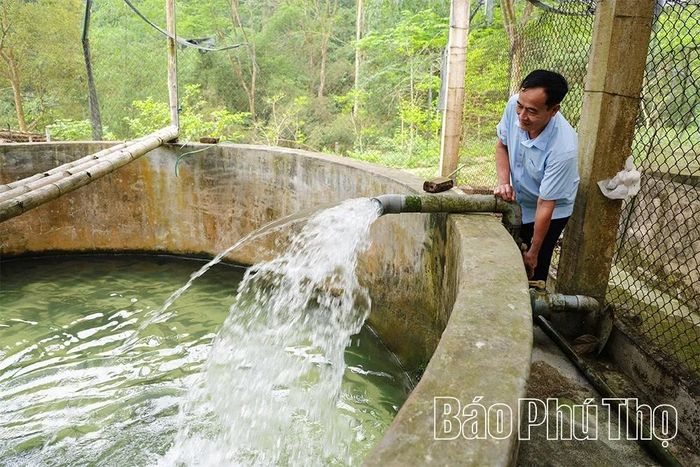 Sau nhiều năm vận hành thử nghiệm, cá tầm phát triển tốt nhờ điều kiện tự nhiên thuận lợi. Gia đình ông Chi quyết định đầu tư trang trại với số lượng lớn, đồng thời, chú trọng hệ thống cấp nước luôn sạch, giàu ôxy và duy trì nhiệt độ ổn định từ 18-22 độ C.
