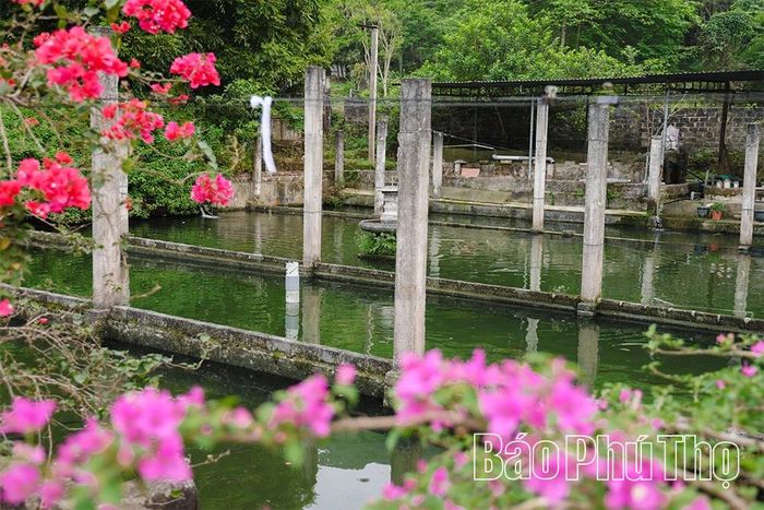 Mô hình nuôi cá tầm gia đình ông Chi trở thành mô hình đầu tiên trên địa bàn xã bước đầu đã chứng minh hiệu quả rõ nét cả về kinh tế và khả năng khai thác lợi thế tự nhiên của địa phương.