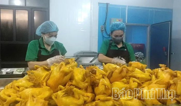 Đầu tư chế biến sâu giúp HTX Chăn nuôi, sản xuất và chế biến gà ủ muối Tân Sơn nâng cao được giá trị sản phẩm và tạo việc làm cho nhiều lao động tại địa phương.