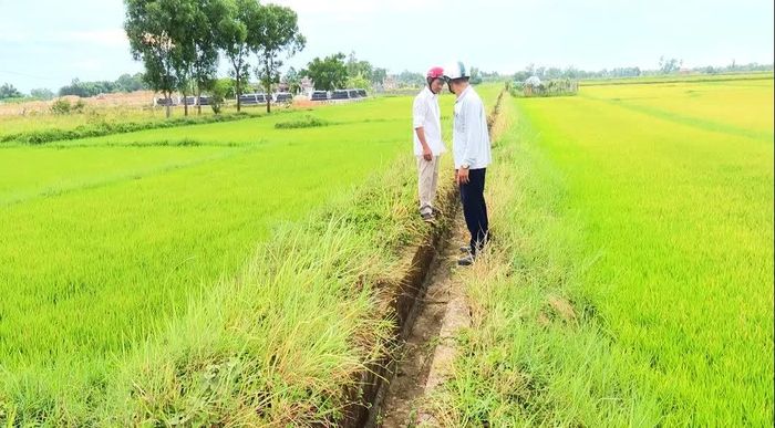Các tuyến kênh dẫn nước trên đồng ruộng ở Hợp tác xã Đông Giang 1 bị khô cạn - Ảnh: Đ.V