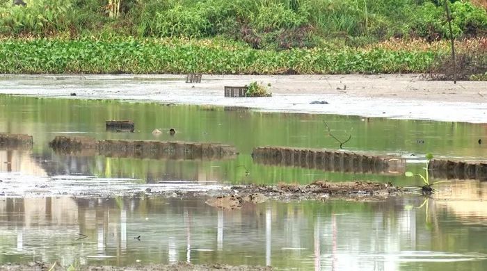 Hói Sòng, nguồn cung cấp nước tưới chính cho vùng canh tác lúa Hợp tác xã Đông Giang 1 và Đông Giang 2 cạn trơ đáy khiến nhiều trạm bơm phải dừng hoạt động - Ảnh: Đ.V