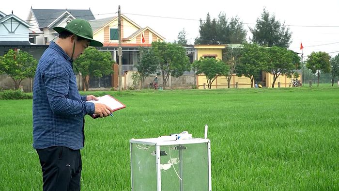 Cán bộ Chi cục Trồng trọt và Bảo vệ thực vật tỉnh ghi chép các thông số đo khí Mê tan trên đồng ruộng sản xuất giảm phát thải - Ảnh: Quang Ngọc