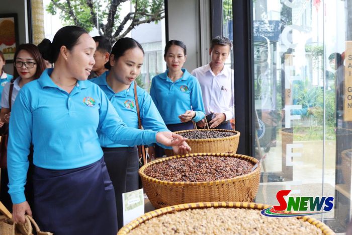 Đoàn công tác thăm quan sản phẩm cà phê của Công ty Cổ phần Phúc Sinh.