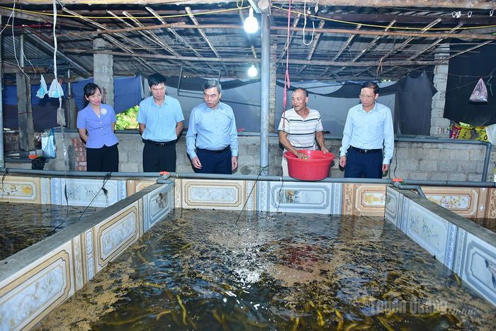 Đồng chí Phó Bí thư Tỉnh ủy, Chủ tịch Ủy ban MTTQ Việt Nam tỉnh Ma Thế Hồng tham quan mô hình nuôi lươn hộ Nguyễn Hà Minh, thôn Tân Phú, xã Hàm Yên.