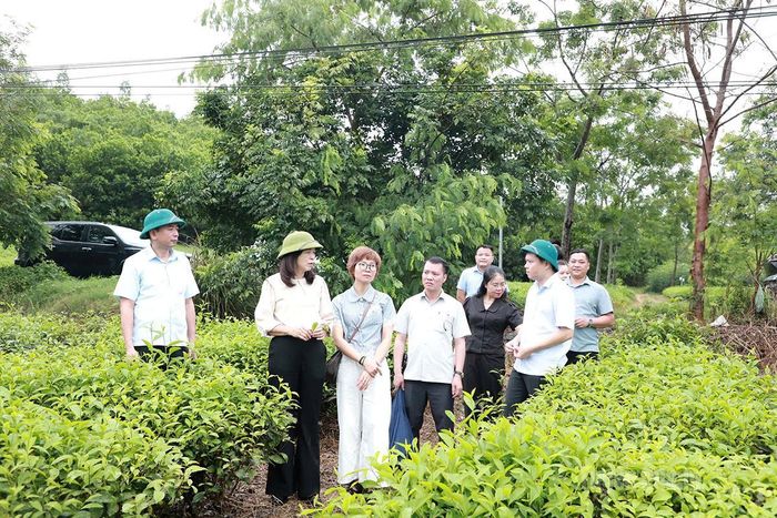 Đồng chí Phạm Thị Minh Xuân, Ủy viên Ban Thường vụ Tỉnh ủy, Phó Chủ tịch HĐND tỉnh cùng Đoàn giám sát khảo sát dự án Khu đô thị An Mỹ Hưng trên địa bàn xã Nhữ Khê do Công ty TNHH Đầu tư và xây dựng Thành Hưng làm chủ đầu tư.