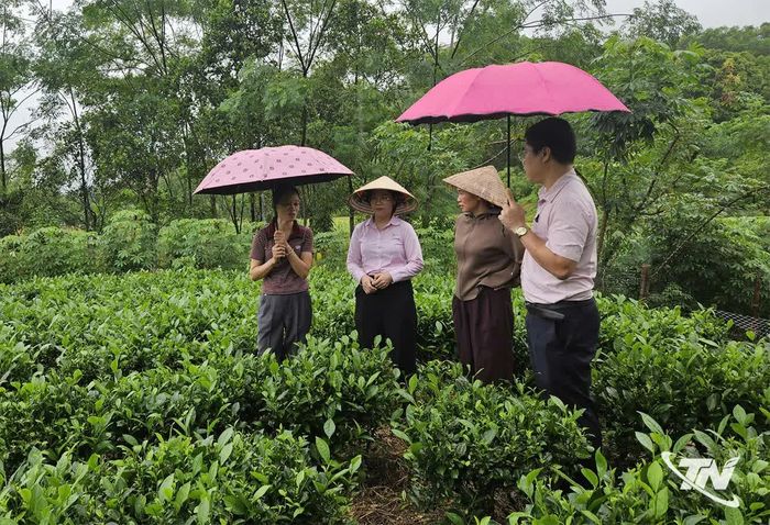 Cán bộ Phòng giao dịch NHCSXH Phú Lương thường xuyên kiểm tra việc sử dụng vốn sau vay, đảm bảo người dân vay và sử dụng hiệu quả, đúng mục đích.