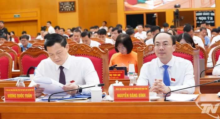 Các đồng chí: Vương Quốc Tuấn, Ủy viên Trung ương Đảng, Phó Bí thư Tỉnh ủy, Chủ tịch UBND tỉnh; Nguyễn Đăng Bình, Phó Bí thư Thường trực Tỉnh ủy, Trưởng Đoàn đại biểu Quốc hội tỉnh và các đại biểu dự Kỳ họp.