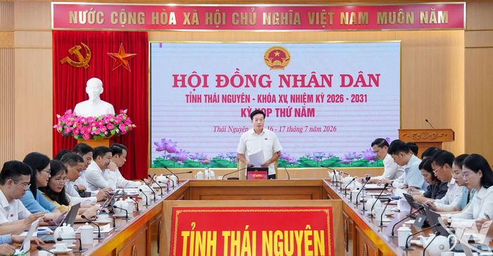 Các đại biểu Tổ 1,3 tiến hành thảo luận tổ.