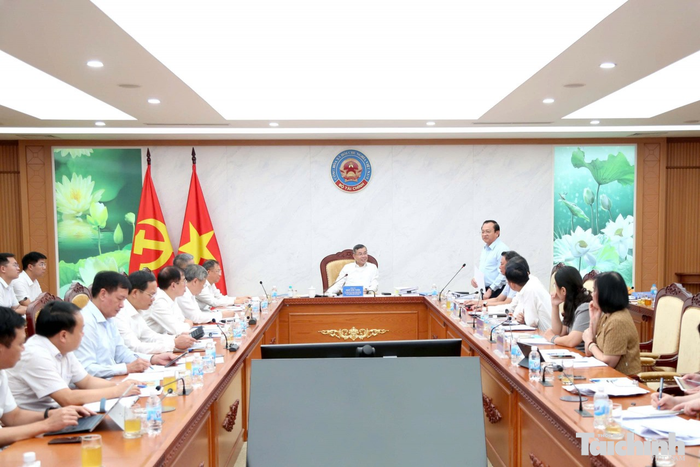 Thứ trưởng Bộ Tài chính Lê Tấn Cận phát biểu tại cuộc họp. Ảnh: Đức Minh