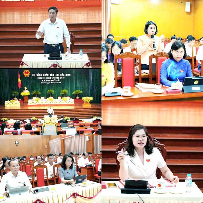 Các đại biểu phát biểu tại các tổ thảo luận Kỳ họp thứ Sáu, HĐND tỉnh Bắc Ninh khóa XX. Ảnh: Nguyễn Ánh