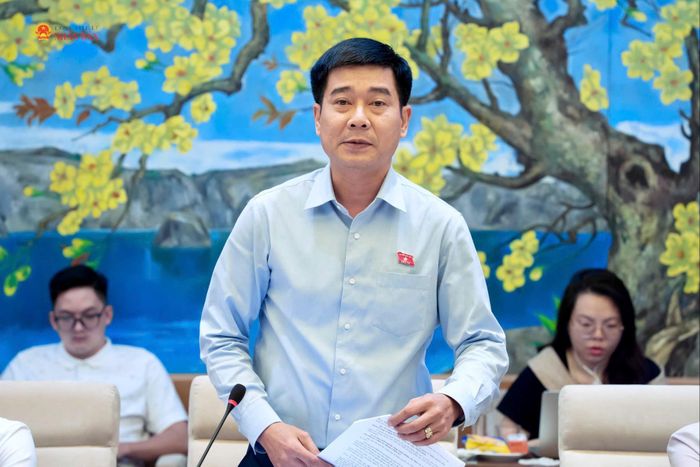 ĐBQH hoạt động chuyên trách tại Ủy ban Pháp luật và Tư pháp Lê Thanh Hoàn phát biểu. Ảnh: Minh Trang