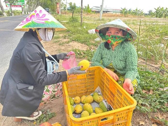 Không chỉ bán trực tiếp, nông dân Đồng Tháp đưa nông sản lên “chợ số” tìm đầu ra ổn định. Ảnh: Bùi Nguyên