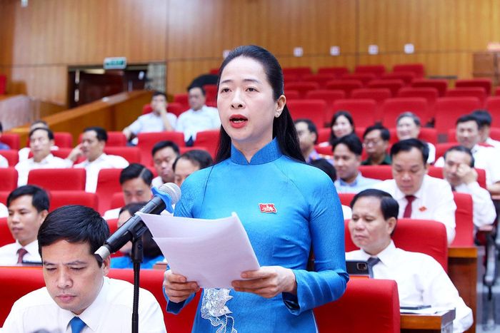 Đại biểu Nguyễn Thị Thủy Hằng (Tổ đại biểu số 8) phát biểu thảo luận tại Kỳ họp thứ Sáu, HĐND tỉnh khóa XX. Ảnh: Dương Thủy