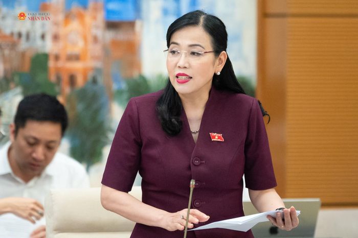 Chủ nhiệm Ủy ban Khoa học, Công nghệ và Môi trường Nguyễn Thanh Hải trình bày tóm tắt báo cáo thẩm tra sơ bộ dự án Luật