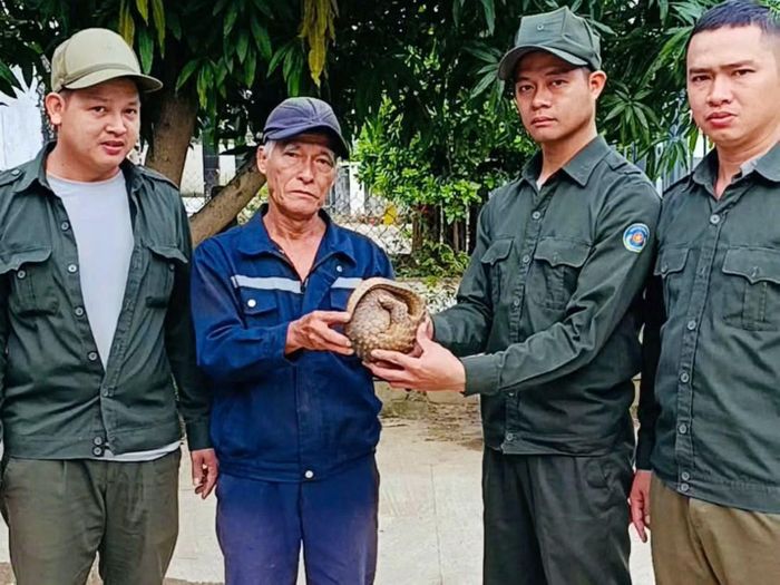 Lực lượng bảo vệ rừng chuyên trách tiếp nhận một cá thể tê tê do người dân tự nguyện giao nộp.