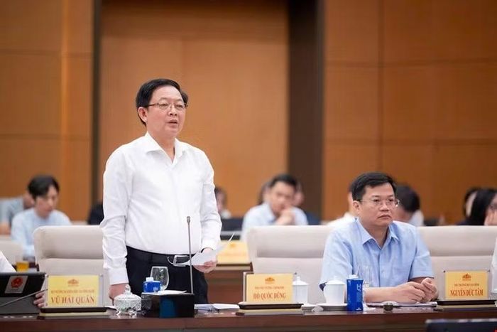Phó Thủ tướng Chính phủ Hồ Quốc Dũng phát biểu tại phiên họp.