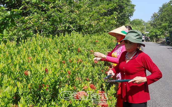 Chi hội Phụ nữ ấp Dân Quân thực hiện phần việc xanh - sạch - đẹp hằng tuần theo hướng “vần công” giữa các hộ.