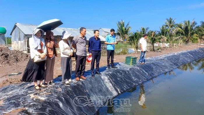 Đoàn công tác Trường Đại học Bạc Liêu khảo sát mô hình nuôi cá rô phi đơn tính tại Hợp tác xã Thuận Lợi, ấp Lung Trường.