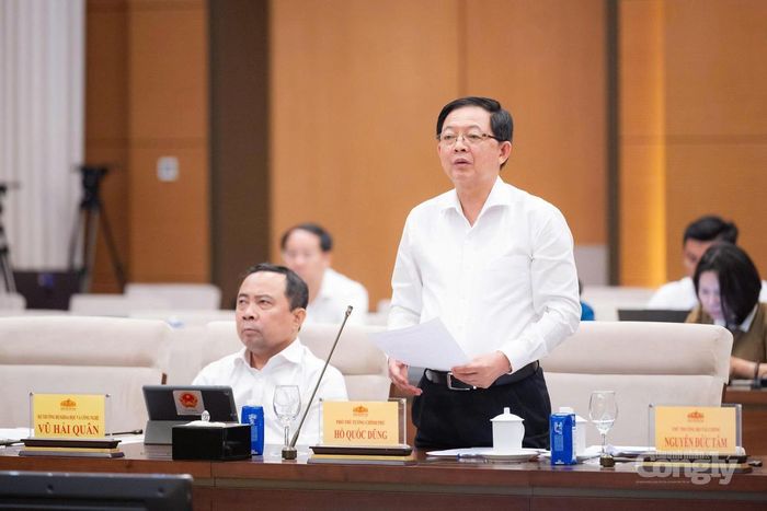 Phó Thủ tướng Chính phủ Hồ Quốc Dũng phát biểu tại Phiên họp.