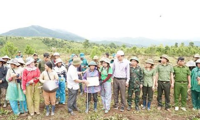 Hơn 150 cán bộ, chiến sĩ và người dân trồng 1.000 cây cà phê theo mong muốn của bệnh binh A Thắm.