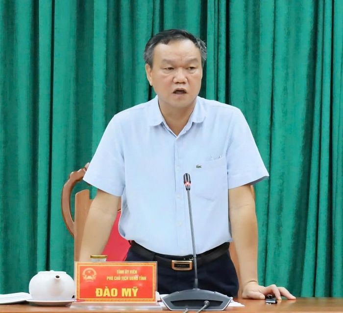  Ông Đào Mỹ - Phó Chủ tịch UBND tỉnh phát biểu kết luận cuộc họp.