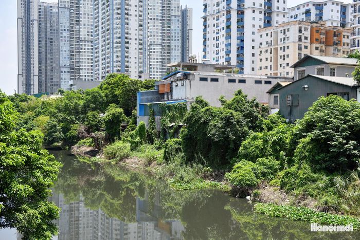 Nhà dân nằm sát mép sông xen lẫn cây dại. Theo định hướng của dự án, việc cải tạo không chỉ tập trung xử lý ô nhiễm mà còn hướng tới chỉnh trang cảnh quan và hạ tầng dọc hai bên sông.