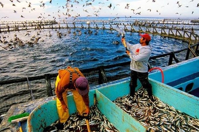 Chuyển đổi số và ứng dụng công nghệ vào toàn bộ chuỗi sản xuất sẽ là nền tảng quan trọng để nâng cao năng suất, chất lượng cũng như hiệu quả quản trị. Ảnh: PV