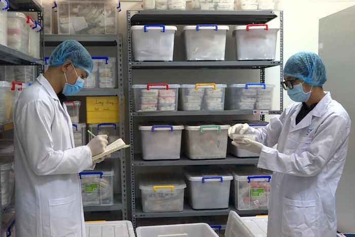 Cẩn trọng thực hiện nhiệm vụ tại Phòng lưu mẫu, Trung tâm Giám định ADN (Viện Sinh học, Viện Hàn lâm Khoa học và Công nghệ Việt Nam). Ảnh: Hằng Thu