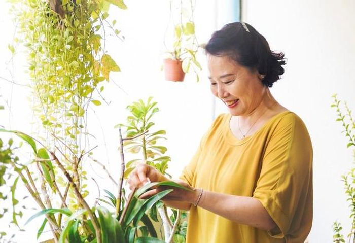 Ngay từ khi còn làm việc, hãy xây dựng kế hoạch tiết kiệm, chuẩn bị quỹ khẩn cấp và tính toán nguồn thu cho những năm sau tuổi nghỉ hưu. Ảnh minh họa