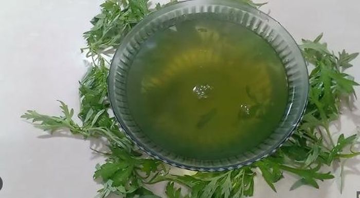 Cây ngải cứu có vị đắng nhưng chứa nhiều chất dinh dưỡng thúc đẩy quá trình tiêu hóa nhanh hơn, khỏe mạnh hơn.