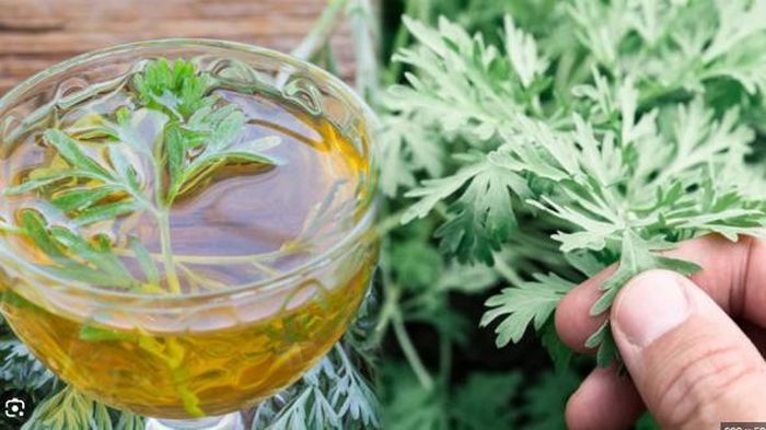 Nước ngải cứu với mật ong thanh mát, dễ uống.
