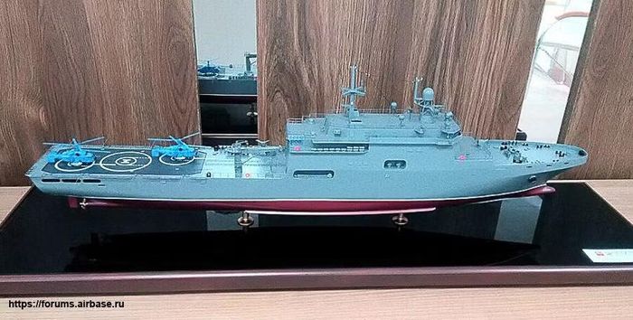 Hạm đội phương Bắc của Hải quân Nga đang có trong biên chế 2 tàu đổ bộ thuộc Dự án 11711, được đưa vào thành phần tác chiến lần lượt trong năm 2018 và 2020. Những tàu thuộc loạt đầu tiên (Dự án 11711) và loạt thứ hai (Dự án 11711M) có sự khác biệt đáng kể.