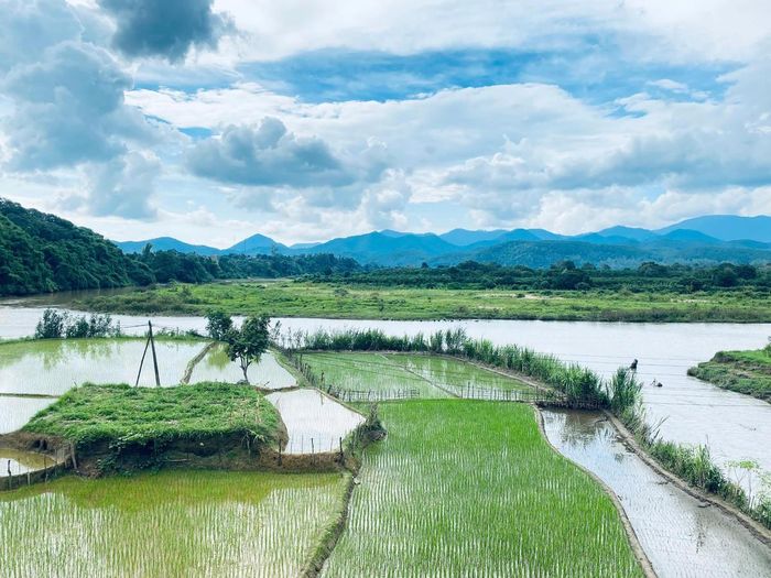 Những ô ruộng bậc thang.