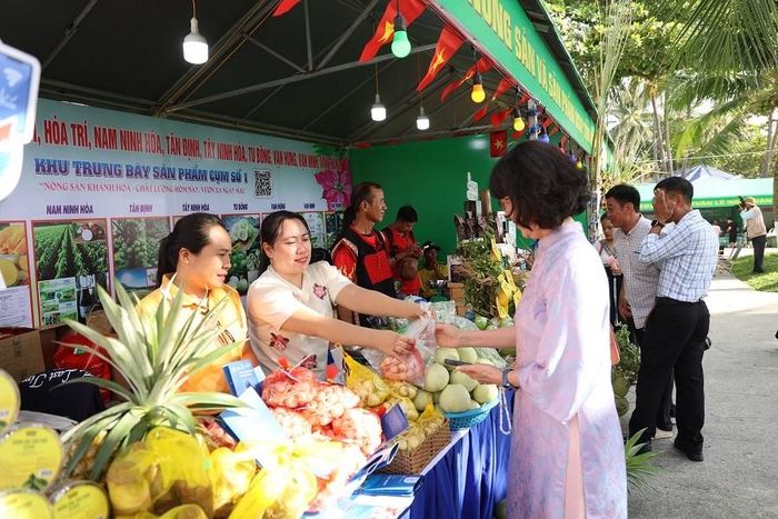 Tuần lễ Nông sản và sản phẩm OCOP không chỉ là dịp quảng bá sản phẩm OCOP, sản phẩm nông nghiệp đặc trưng của các địa phương trên địa bàn tỉnh Khánh Hòa, mà còn là cầu nối để nông dân gặp gỡ doanh nghiệp, hợp tác xã, đơn vị phân phối, trao đổi kinh nghiệm sản xuất và tìm kiếm cơ hội hợp tác tiêu thụ