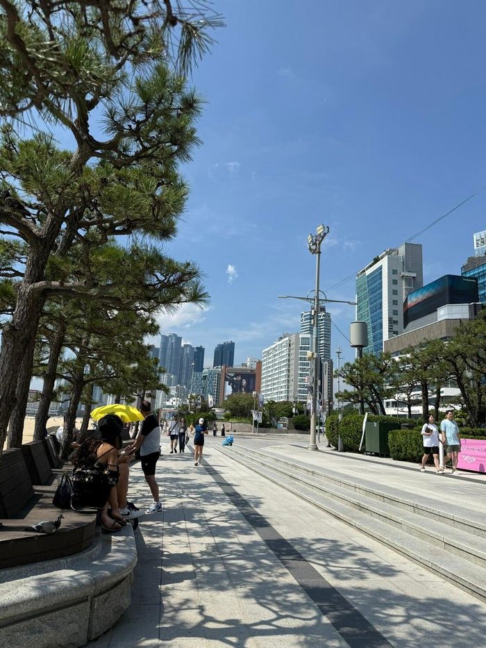 Thời tiết Busan mùa hè vẫn khá mát mẻ. Ảnh: Hà Chi
