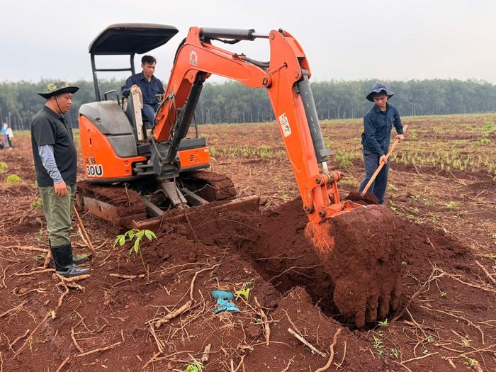 Mở rộng đào thăm dò khu vực lô 97.